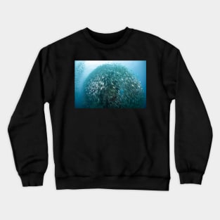 School of Snappers at Sail Rock Crewneck Sweatshirt